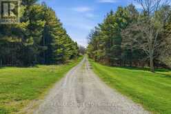 1686 COUNTY ROAD 13 | Hillier Ontario | Slide Image Thirty-eight
