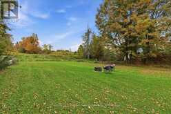 844 CORDOVA ROAD | Marmora Ontario | Slide Image Forty-five