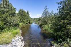 982 PORTER ROAD | Kawartha Lakes Ontario | Slide Image Forty-six