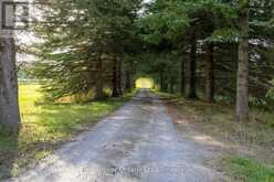 982 PORTER ROAD | Kawartha Lakes Ontario | Slide Image Forty-eight