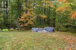 47 REYNOLDS ROAD | Madoc Ontario | Slide Image Thirty-nine