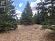 00 CENTRE DUMMER ROAD | North Kawartha Ontario | Slide Image Nine