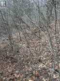00 N. DUMMER 7TH LINE ROAD | North Kawartha Ontario | Slide Image Twelve