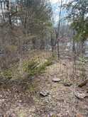 00 N. DUMMER 7TH LINE ROAD | North Kawartha Ontario | Slide Image Thirteen