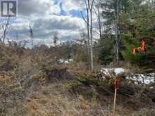 00 N. DUMMER 7TH LINE ROAD | North Kawartha Ontario | Slide Image Sixteen