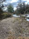 00 N. DUMMER 7TH LINE ROAD | North Kawartha Ontario | Slide Image Seventeen