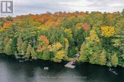 1005 MCARTHUR POINT ROAD | Baysville Ontario | Slide Image Thirty-eight