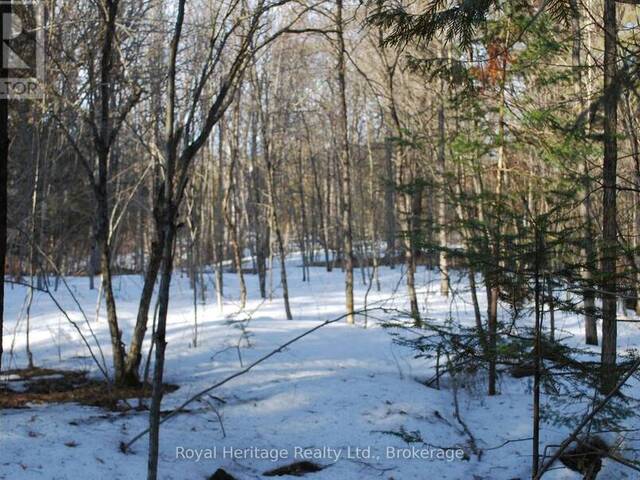 99 FUTURE LANE Marmora Ontario, K0K 2M0 - Waterfront Land For Sale
