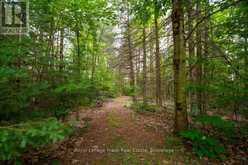 3719 COUNTY RD 507 ROAD | North Kawartha Ontario | Slide Image Forty-two