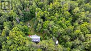 3719 COUNTY RD 507 ROAD | North Kawartha Ontario | Slide Image Forty-six