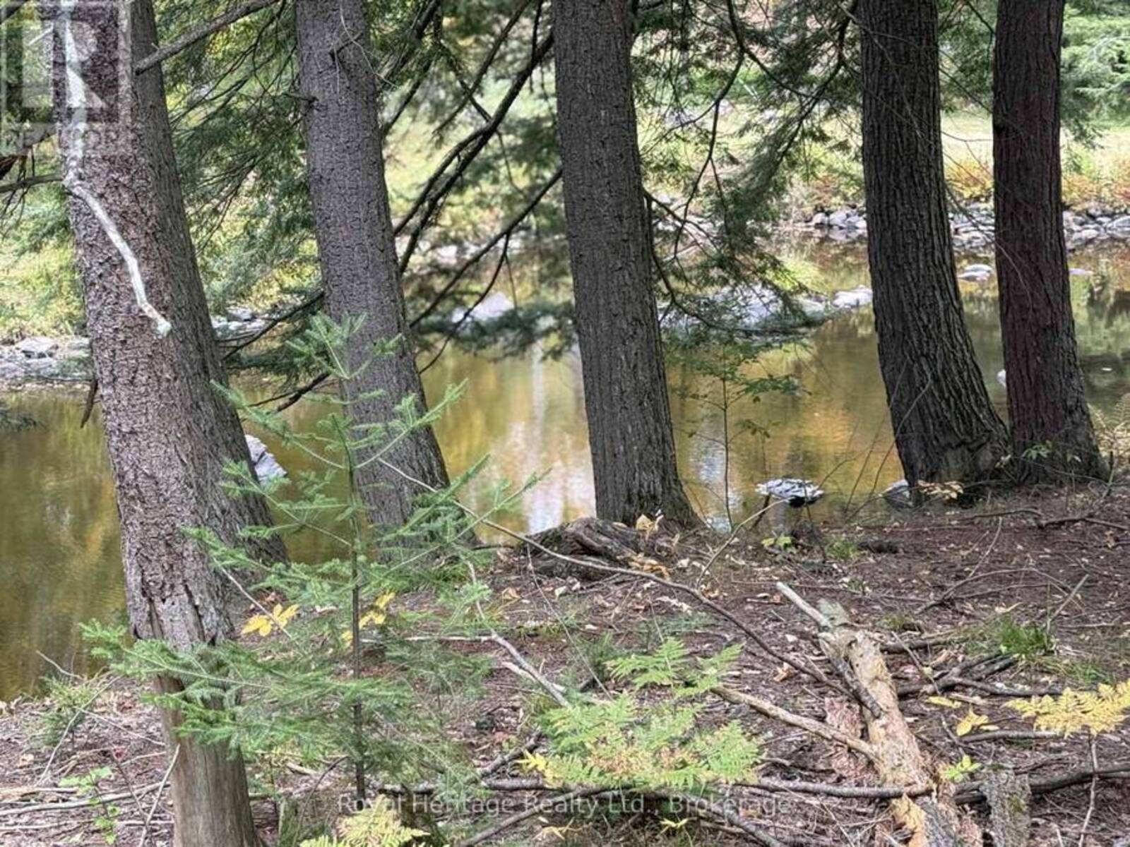 7 FIRE ROUTE 92 ROUTE, Bobcaygeon, Ontario K0M 1A0