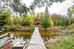 14 RICHMOND STREET E | Kawartha Lakes Ontario | Slide Image Eight