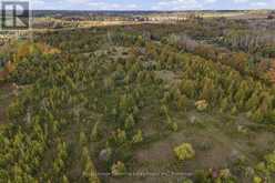 PT LT 17 SOUTHSIDE ROAD | Lindsay Ontario | Slide Image Ten