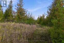 PT LT 17 SOUTHSIDE ROAD | Lindsay Ontario | Slide Image Twenty
