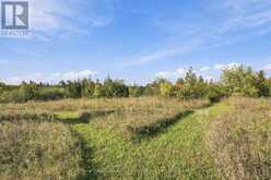 PT LT 17 SOUTHSIDE ROAD | Lindsay Ontario | Slide Image Thirty-four