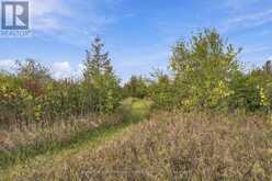 PT LT 17 SOUTHSIDE ROAD | Lindsay Ontario | Slide Image Thirty-five