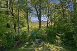 402 FIDDICK ROAD | Quinte West Ontario | Slide Image Forty-six