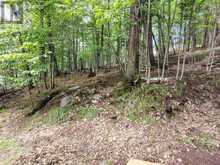 0 PARK STREET | Haliburton Ontario | Slide Image Fifteen