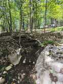 0 PARK STREET | Haliburton Ontario | Slide Image Seven