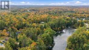 25 GOVERNMENT DOCK ROAD | Coboconk Ontario | Slide Image Forty-seven
