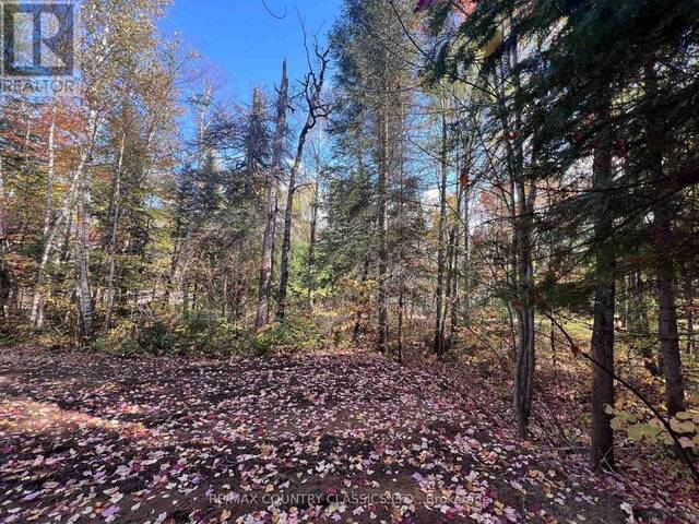 0 HIGH BUSH ROAD Hastings Highlands Ontario, K0L 2K0 - Vacant Land For Sale