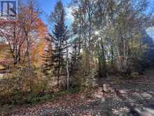 0 HIGH BUSH ROAD | Hastings Highlands Ontario | Slide Image Two