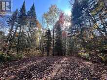 0 HIGH BUSH ROAD | Hastings Highlands Ontario | Slide Image Six