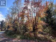 0 HIGH BUSH ROAD | Hastings Highlands Ontario | Slide Image Eight