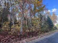0 HIGH BUSH ROAD | Hastings Highlands Ontario | Slide Image Nine