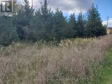 LOT 12 LAKEVIEW DRIVE | Campbellford Ontario | Slide Image Ten