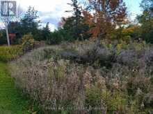 LOT 12 LAKEVIEW DRIVE | Campbellford Ontario | Slide Image Nine