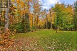 595 OLD DIAMOND LAKE ROAD | Bancroft Ontario | Slide Image Thirty-one
