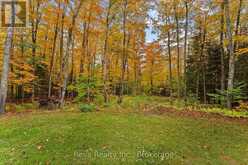 595 OLD DIAMOND LAKE ROAD | Bancroft Ontario | Slide Image Thirty-two