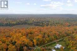 595 OLD DIAMOND LAKE ROAD | Bancroft Ontario | Slide Image Thirty-six