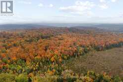 595 OLD DIAMOND LAKE ROAD | Bancroft Ontario | Slide Image Thirty-seven