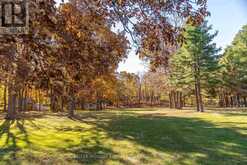 11858 LOYALIST PARKWAY | Prince Edward Ontario | Slide Image Six
