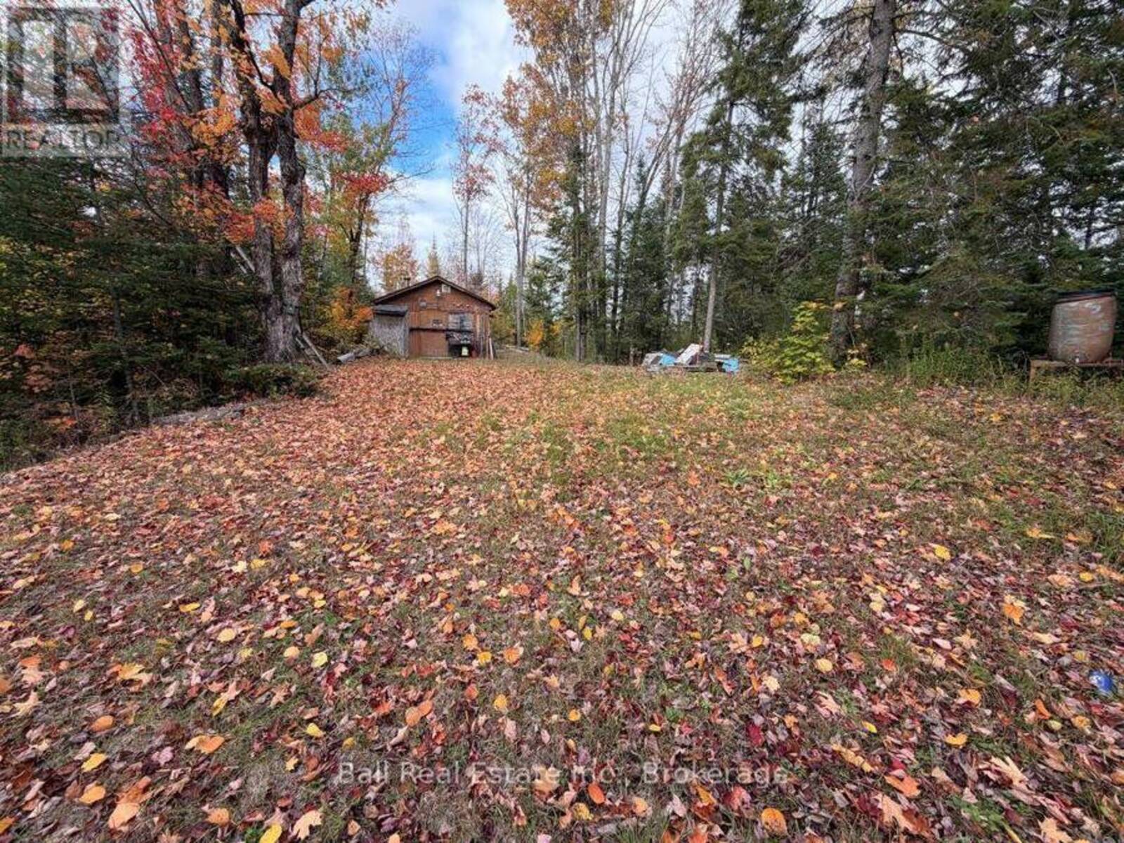 23226 HIGHWAY 62 HIGHWAY, Coe Hill, Ontario K0L 1P0