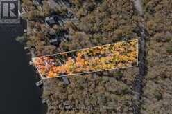 100 RUSSELL DRIVE | Kawartha Lakes Ontario | Slide Image Three