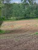 00 COUNTY ROAD 42 ROAD | Havelock-Belmont-Methuen Ontario | Slide Image Three