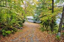 231 WEST DIAMOND LAKE ROAD | Bancroft Ontario | Slide Image Four