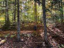 245 WEST DIAMOND LAKE ROAD | Bancroft Ontario | Slide Image Twenty-seven