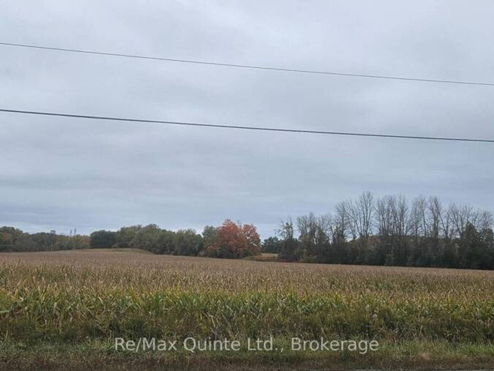 0 FRANKFORD ROAD, Quinte West, Ontario K0K 2B0