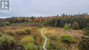 395 SAWMILL ROAD | North Kawartha Ontario | Slide Image Ten