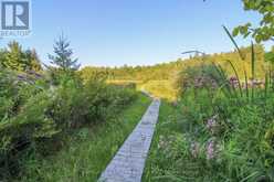 395 SAWMILL ROAD | North Kawartha Ontario | Slide Image Twelve