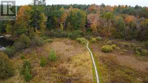 395 SAWMILL ROAD | North Kawartha Ontario | Slide Image Sixteen