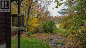 395 SAWMILL ROAD | North Kawartha Ontario | Slide Image Nine