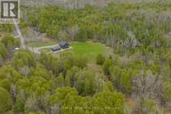 165 COUNTY RD 507 | North Kawartha Ontario | Slide Image Forty