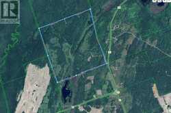 165 COUNTY RD 507 | North Kawartha Ontario | Slide Image Forty-two