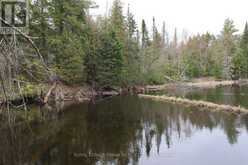 165 COUNTY RD 507 | North Kawartha Ontario | Slide Image Forty-four