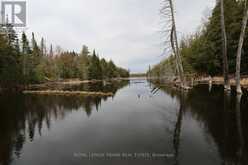 165 COUNTY RD 507 | North Kawartha Ontario | Slide Image Forty-five